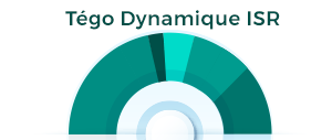 profil Tégo Dynamique ISR
