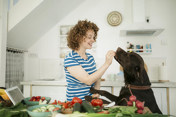 Prise en charge des animaux