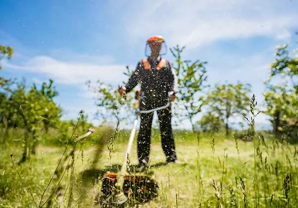Canicule : Obligation de débroussaillement
