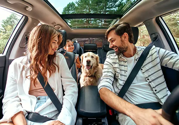un devis d’assurance auto en ligne en quelques clics