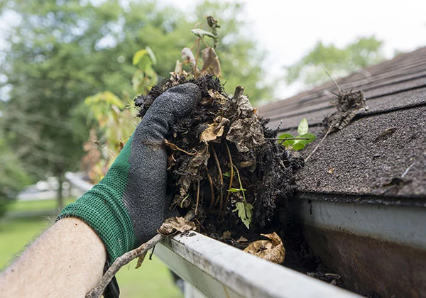 Entretenez régulièrement vos gouttières, chéneaux et adaptez votre système de drainage