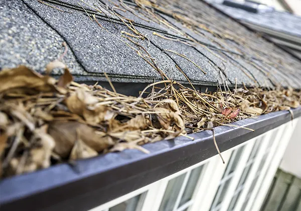 Les feuilles mortes et les gouttières bouchées