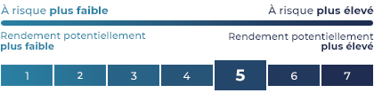Risque élevé et rendemment potentiellement plus élevé
