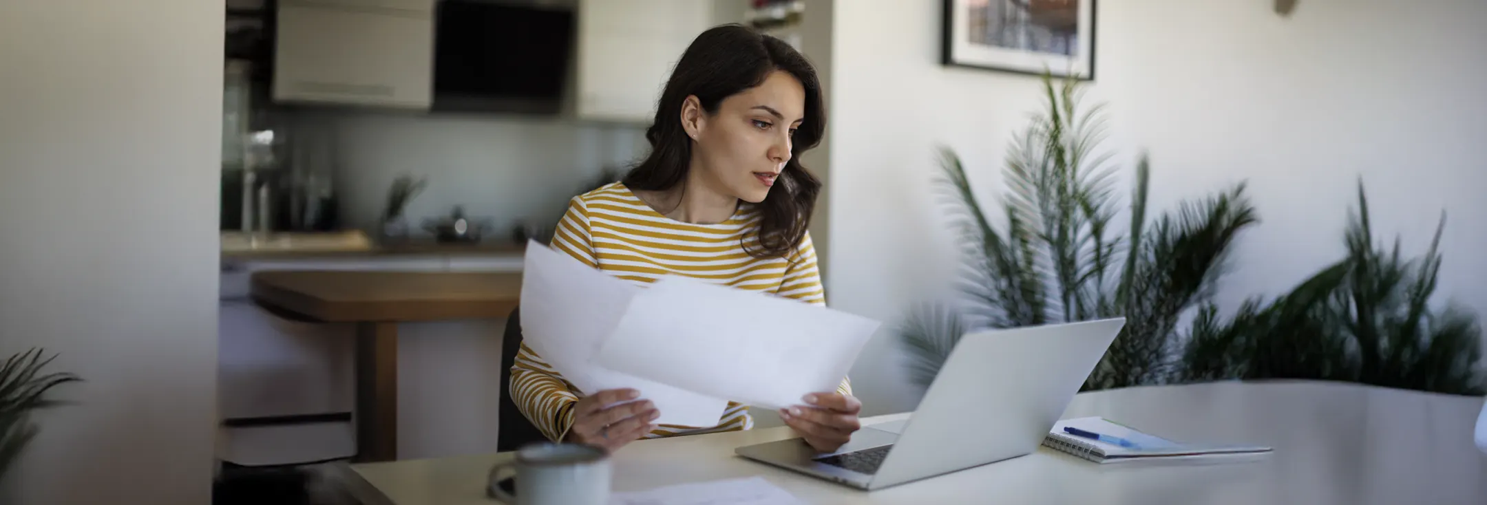 <strong>Démarches après un décès</strong>