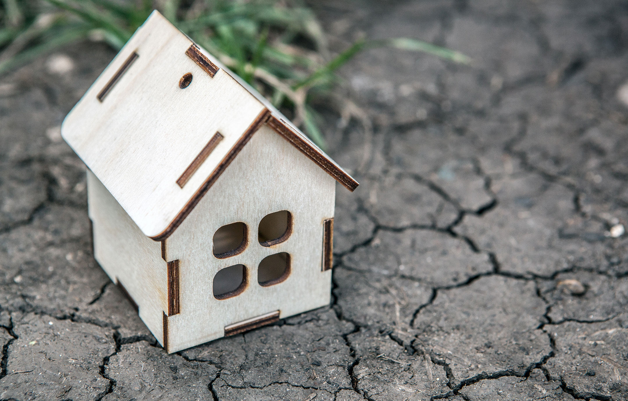 Prévention sécheresse et fissures : comment protéger sa maison et comment s’assurer ?